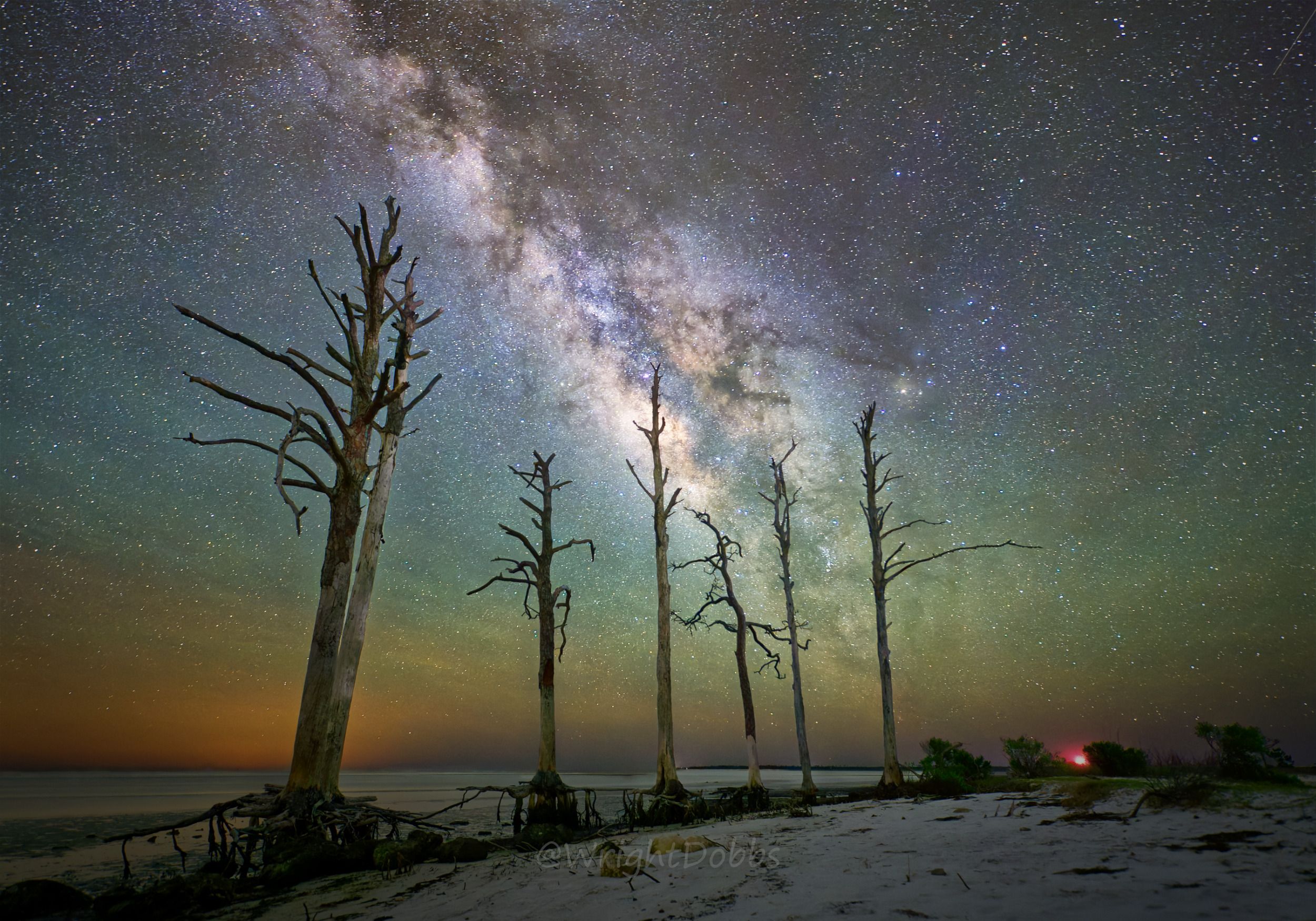 Night sky Milky Way stargazing dark skies Florida no light pollution