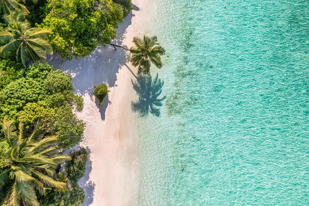 Boca Grande pristine white sand beach with turquoise water