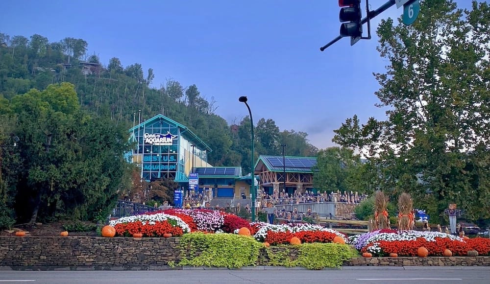 Ripley's Aquarium of the Smokies underwater tunnel Gatlinburg